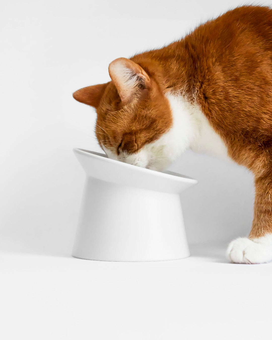Satellite Cat bowl