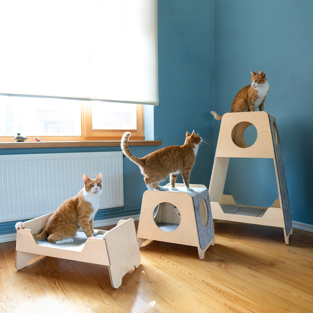 Cat area. Мебель для животных. Дом для кошки.