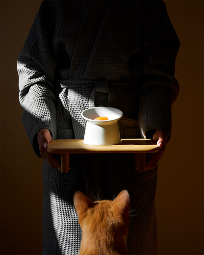 Satellite Cat bowl