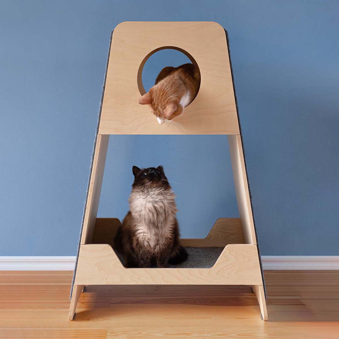 Fuji Cat Tower