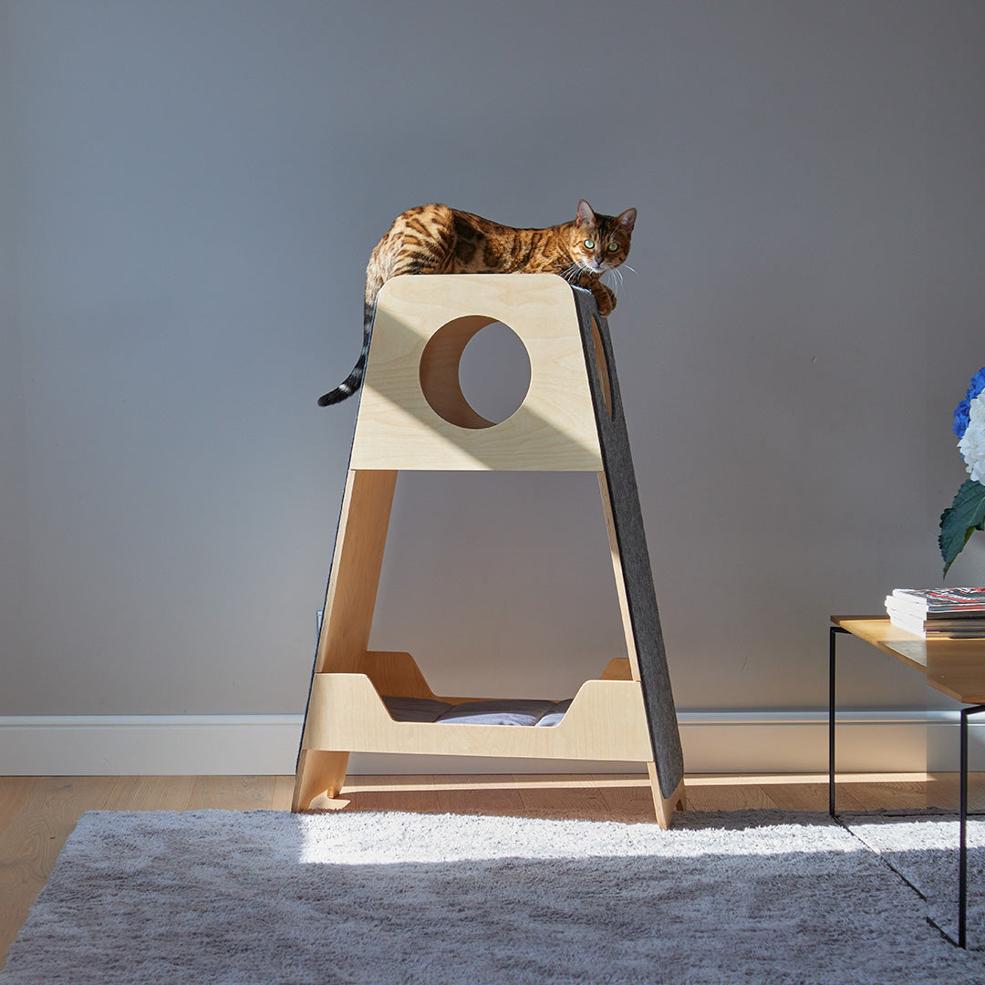 Fuji Cat Tower
