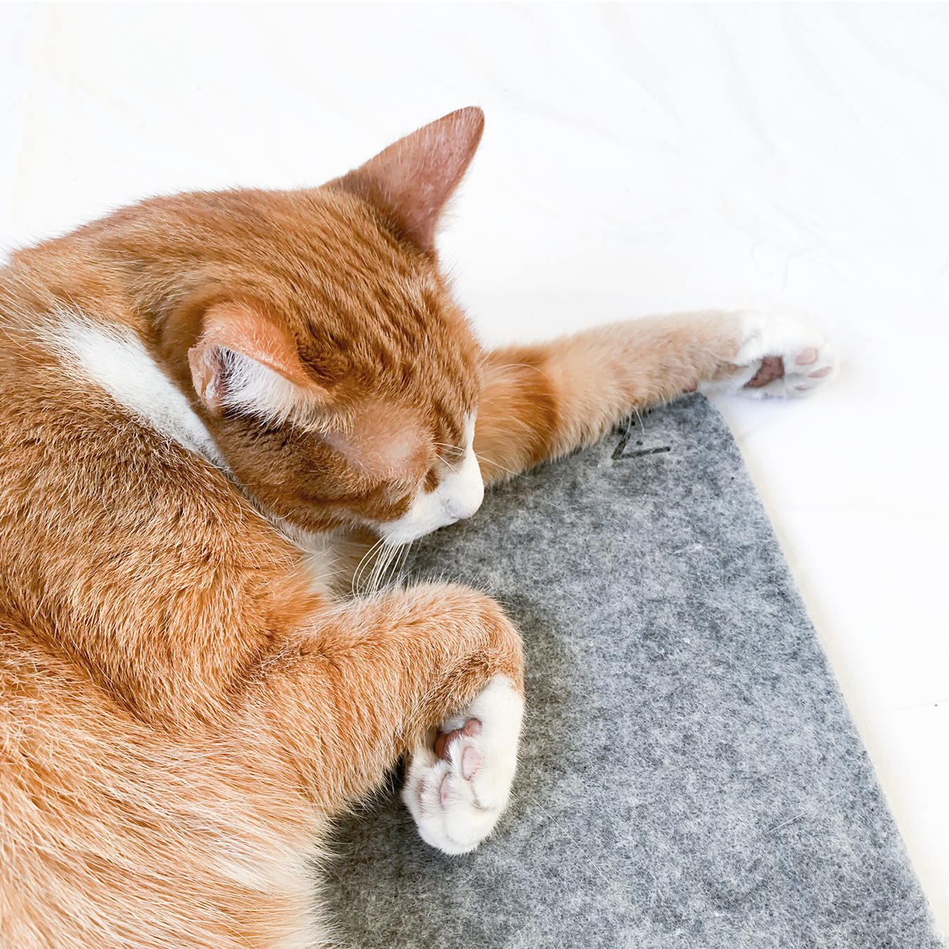 MIKS Cat Pad
